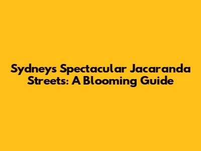Sydney's Spectacular Jacaranda Streets: A Blooming Guide