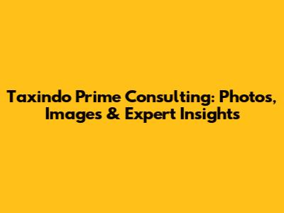 Taxindo Prime Consulting: Photos, Images & Expert Insights
