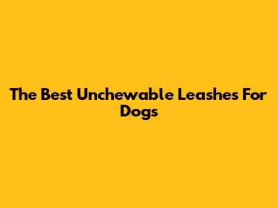 The Best Unchewable Leashes For Dogs