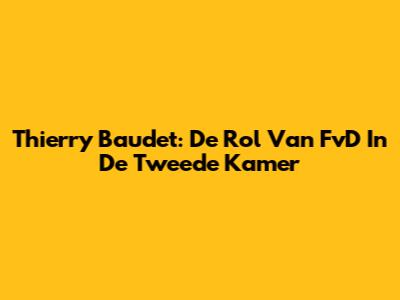 Thierry Baudet: De Rol Van FvD In De Tweede Kamer