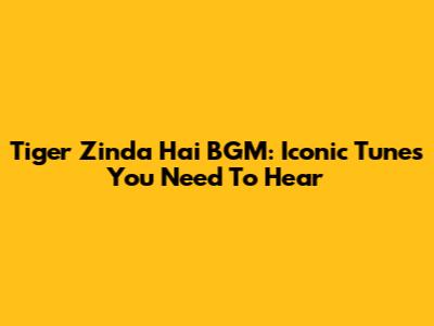 Tiger Zinda Hai BGM: Iconic Tunes You Need To Hear