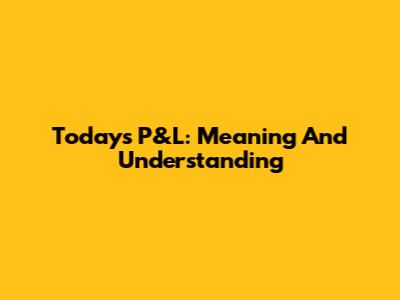 Today's P&L: Meaning And Understanding