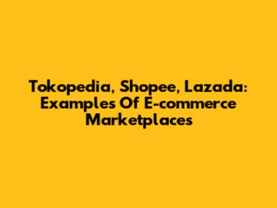 Tokopedia, Shopee, Lazada: Examples Of E-commerce Marketplaces
