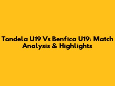 Tondela U19 Vs Benfica U19: Match Analysis & Highlights