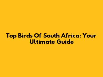 Top Birds Of South Africa: Your Ultimate Guide