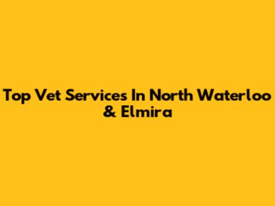 Top Vet Services In North Waterloo & Elmira