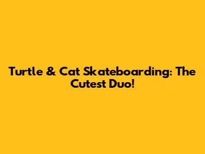 Turtle & Cat Skateboarding: The Cutest Duo!
