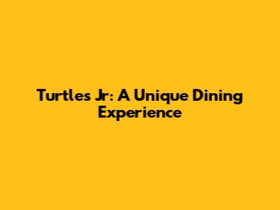 Turtles Jr: A Unique Dining Experience