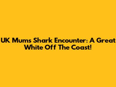 UK Mum's Shark Encounter: A Great White Off The Coast!