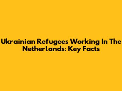 Ukrainian Refugees Working In The Netherlands: Key Facts