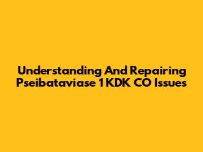 Understanding And Repairing Pseibataviase 1 KDK CO Issues