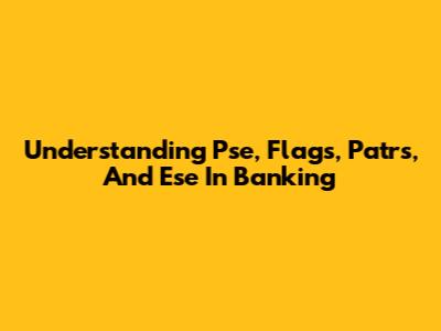 Understanding Pse, Flags, Patrs, And Ese In Banking