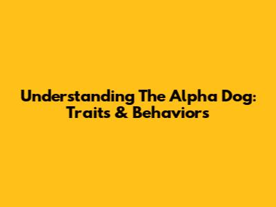 Understanding The Alpha Dog: Traits & Behaviors