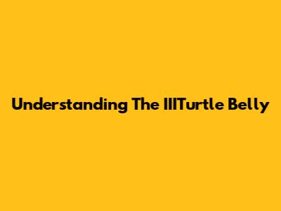 Understanding The IIITurtle Belly