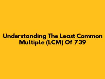 Understanding The Least Common Multiple (LCM) Of 739