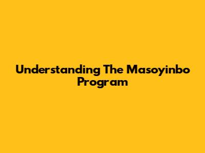 Understanding The Masoyinbo Program