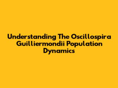 Understanding The Oscillospira Guilliermondii Population Dynamics