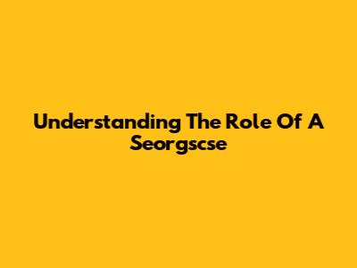 Understanding The Role Of A Seorgscse