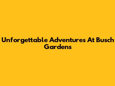 Unforgettable Adventures At Busch Gardens