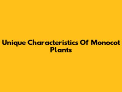 Unique Characteristics Of Monocot Plants