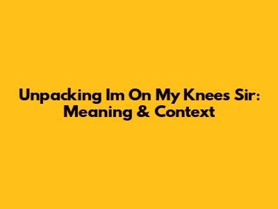Unpacking 'I'm On My Knees Sir': Meaning & Context