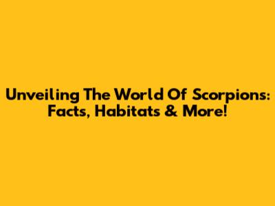 Unveiling The World Of Scorpions: Facts, Habitats & More!