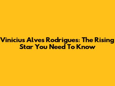 Vinicius Alves Rodrigues: The Rising Star You Need To Know