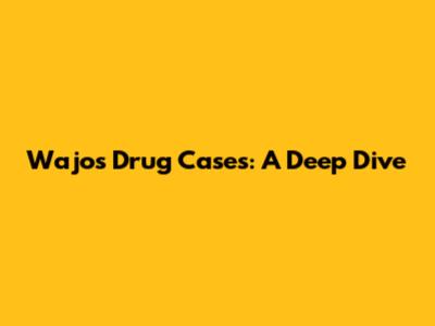 Wajo's Drug Cases: A Deep Dive
