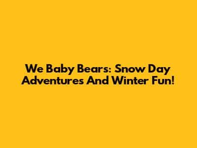 We Baby Bears: Snow Day Adventures And Winter Fun!
