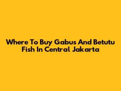 Where To Buy Gabus And Betutu Fish In Central Jakarta