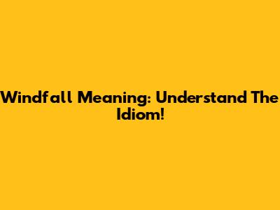 Windfall Meaning: Understand The Idiom!