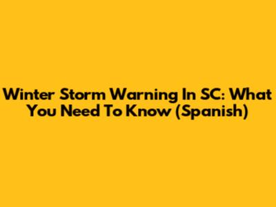 Winter Storm Warning In SC: What You Need To Know (Spanish)
