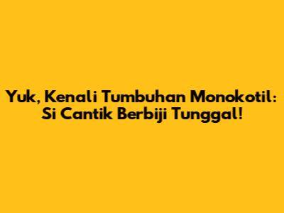 Yuk, Kenali Tumbuhan Monokotil: Si Cantik Berbiji Tunggal!