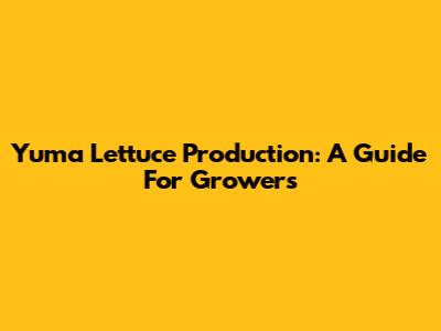 Yuma Lettuce Production: A Guide For Growers