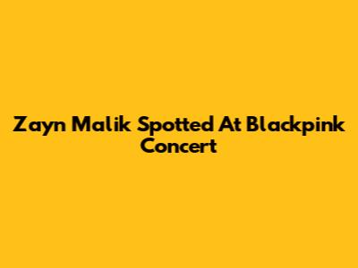Zayn Malik Spotted At Blackpink Concert