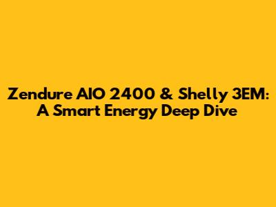 Zendure AIO 2400 & Shelly 3EM: A Smart Energy Deep Dive