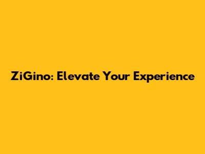 ZiGino: Elevate Your Experience