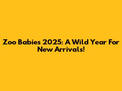 Zoo Babies 2025: A Wild Year For New Arrivals!